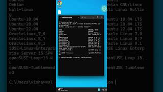 Install Any Linux Distribution on Windows 11 with One Command🔥 [upl. by Ahsekan]