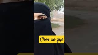 Shero KY qabila ki ❤️❤️ live comingsoon hijab 100kfans viralshort [upl. by Ahsyt]