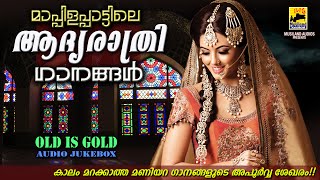 മാപ്പിളപ്പാട്ടിലെ ആദ്യരാത്രി ഗാനങ്ങൾ  Mappila Pattukal Old Is Gold  Malayalam Mappila Songs [upl. by Thamora]