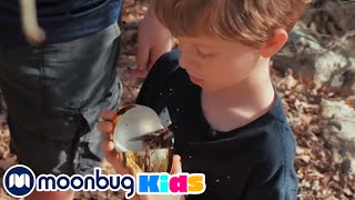 Park Ranger LB Goes On An Easter Egg Hunt  Easter Egg Hunt Videos For Kids  Moonbug Kids [upl. by Almallah844]