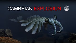 Cambrian Explosion of Animalia [upl. by Eiliab]