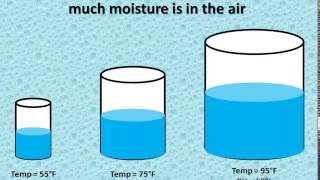 Relative Humidity vs Dewpoint [upl. by Garcon]