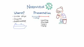 Norovirus  Epidemiology Clinical Presentation and Prevention [upl. by Euqinad]