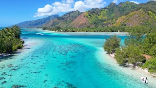 Beautiful Drone Footage of Moorea [upl. by Tongue309]