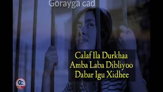 cabdinuur allaale iyo faadumo hees nin jaceyl diloo daashadoo lyrics [upl. by Eytak]