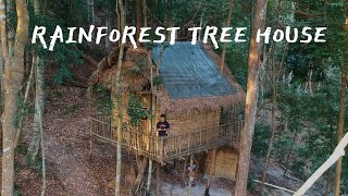 Ecotourism at RAINFOREST TREE HOUSE KULAI and visit MOUNT PULAI WATERFALL [upl. by Nairbo754]