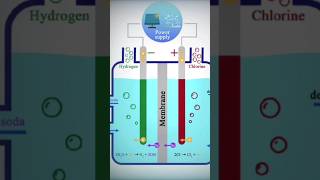 What is🤔 ChlorAlkali Process🤫Class 10th  Most Important💥 topic for board 2025 ytshorts [upl. by Copp555]