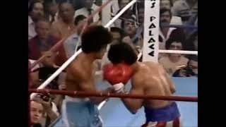 Salvador Sanchez Vs Wilfredo Gomez Highlights WBC Title [upl. by Hentrich]