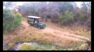 Nkambeni Game Drive [upl. by Tav53]