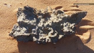 When Lightning Strikes Sand Amazing Glass Sculptures are Formed [upl. by Tiersten]