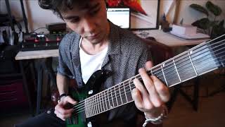 MESTIS  El Mestizo Guitar Cover [upl. by Assenal]