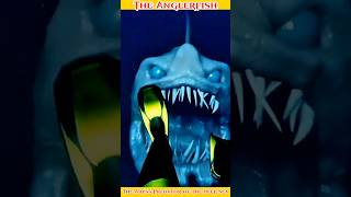 The Anglerfish The Abyss Predator of the Deep Sea 🐟🔦 facts deepsea creatures abyss [upl. by Azalea]