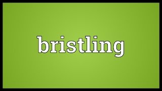 Bristling Meaning [upl. by Orlena]