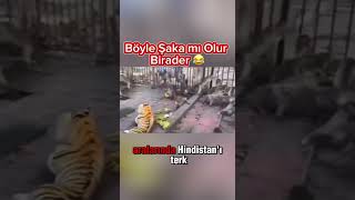 🙈 Maymunlara Yapılan Eşek Şakası 😜 🐅 [upl. by Moore]