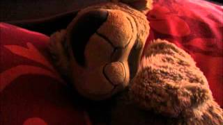 snoring teddy bear [upl. by Tigdirb]