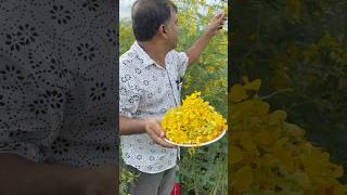 ধঞ্চে ফুলের বড়া খেয়েছেন দারুণ plants flowers recipe রেসিপি shorts [upl. by Nylrak]