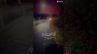 Best Quran recitation shorts short shortvideo shortsvideo reels love shortsviral quran duet [upl. by Sillad]