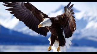 Eagle And The Hawk John Denver [upl. by Slinkman]