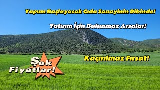 Bilecikte Kelepir Fiyata  Bir Daha Böyle Bulunmaz Yatırımlık Arsalar Çok Değer Kazanacak Satılık [upl. by Ynnam]