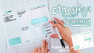 Calendario  Checklist para imprimir Paso a paso y plantilla GRATIS Barbs Arenas Art [upl. by Nyllewell]