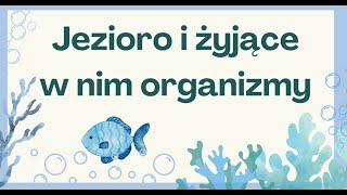 Tajemnice życia w jeziorze  lekcja przyrody dla klasy 4 [upl. by Anirad303]