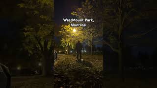 Peaceful Midnight Walk in Westmount Park Montreal 🌙 shorts montrealtourism [upl. by Naud]