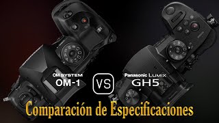 OM SYSTEM OM1 vs Panasonic Lumix GH5 Una Comparación de Especificaciones [upl. by Dinin943]