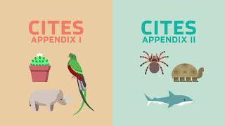 Supporting Sustainable Trade of CITES Species [upl. by Royd]