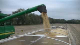 SK FARMS SOYBEAN HARVEST PART 4 [upl. by Dorelle868]