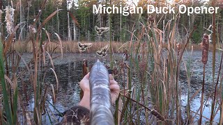 Michigan Duck Hunt  Hidden pond BANDED Wood Duck [upl. by Nnayllek]