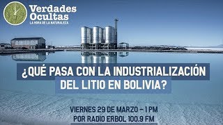 ¿Qué pasa con la industrialización del litio en Bolivia [upl. by Coraline]