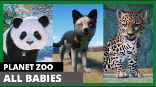 Planet Zoo 112 ALL BABY Animals [upl. by Hnad]