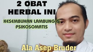 2 OBAT HERBAL GERD ASLAM PSIKOSOMATISASEP BRUDER [upl. by Hanid]