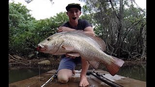 Full Season of Mangrove Jack Fishing Tips Everything I Learnt [upl. by Eetnuahs]