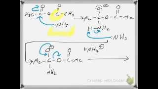 Synthesis of Acetamide from Acetic Anhydride RXN Mechanism [upl. by Spitzer474]