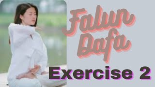 Falun Dafa Exercise 2 Life transformation technique [upl. by Eimoan365]