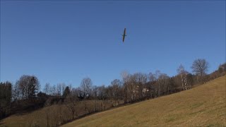 Puma  Nurflügelmodell am Sonnberg bei Trieben im Dezember 2015 [upl. by Neelhtak]