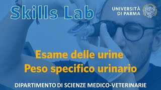 Esame delle urine peso specifico urinario  Skills Lab UNIPR [upl. by Meehyrb]