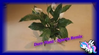 Durr Plant  Sparta Remix [upl. by Ydnamron]