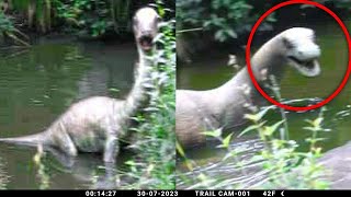 Animals Believed To Be Extinct Caught Alive On Camera [upl. by Brom790]