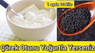 1 Ayda 10 kilo Ver  Mucize Gibi Yoğurt ve Çörek Otu Karışımı [upl. by Lewert]