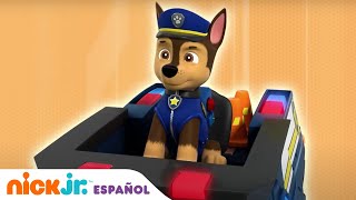 PAW Patrol  ¡La Patrulla Canina rescata a Chickaletta y Roosterio  Nick Jr en Español [upl. by Siegler]