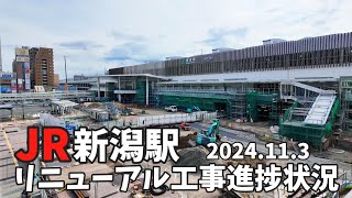 【新潟駅】リニューアル工事進捗状況 新しいスーパー発見しました [upl. by Palma]