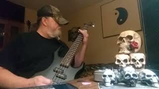 Forest System of a Down Bass cover [upl. by Aileahcim]