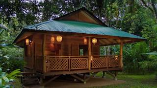 20 increíbles Casas de madera en el Campo [upl. by Tortosa]