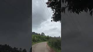 kodaikanal nice weather youtubeshorts ytshorts [upl. by Ahcatan]