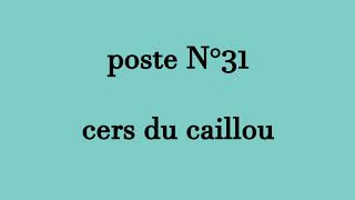 chasse au sanglier caudiès de fenouillèdes 66 pinouzecremade [upl. by Humo]