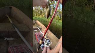 POND HOPPING IN A CANOE FARM POND FISHING LARGEMOUTH BASS FISHINGfishingshortsytshortsfypyt [upl. by Aneryc]