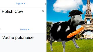 Polish Cow in different languages meme [upl. by Ardnuaek693]