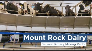 Mount Rock Dairys DeLaval Rotary Parlor [upl. by Hassadah388]